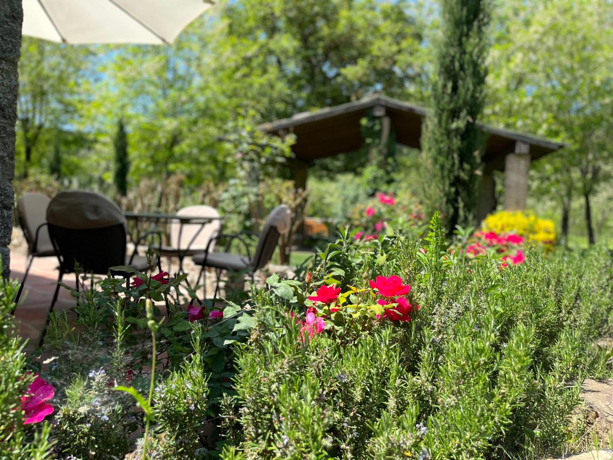 Mulino In Chianti Daire Gaiole in Chianti Dış mekan fotoğraf