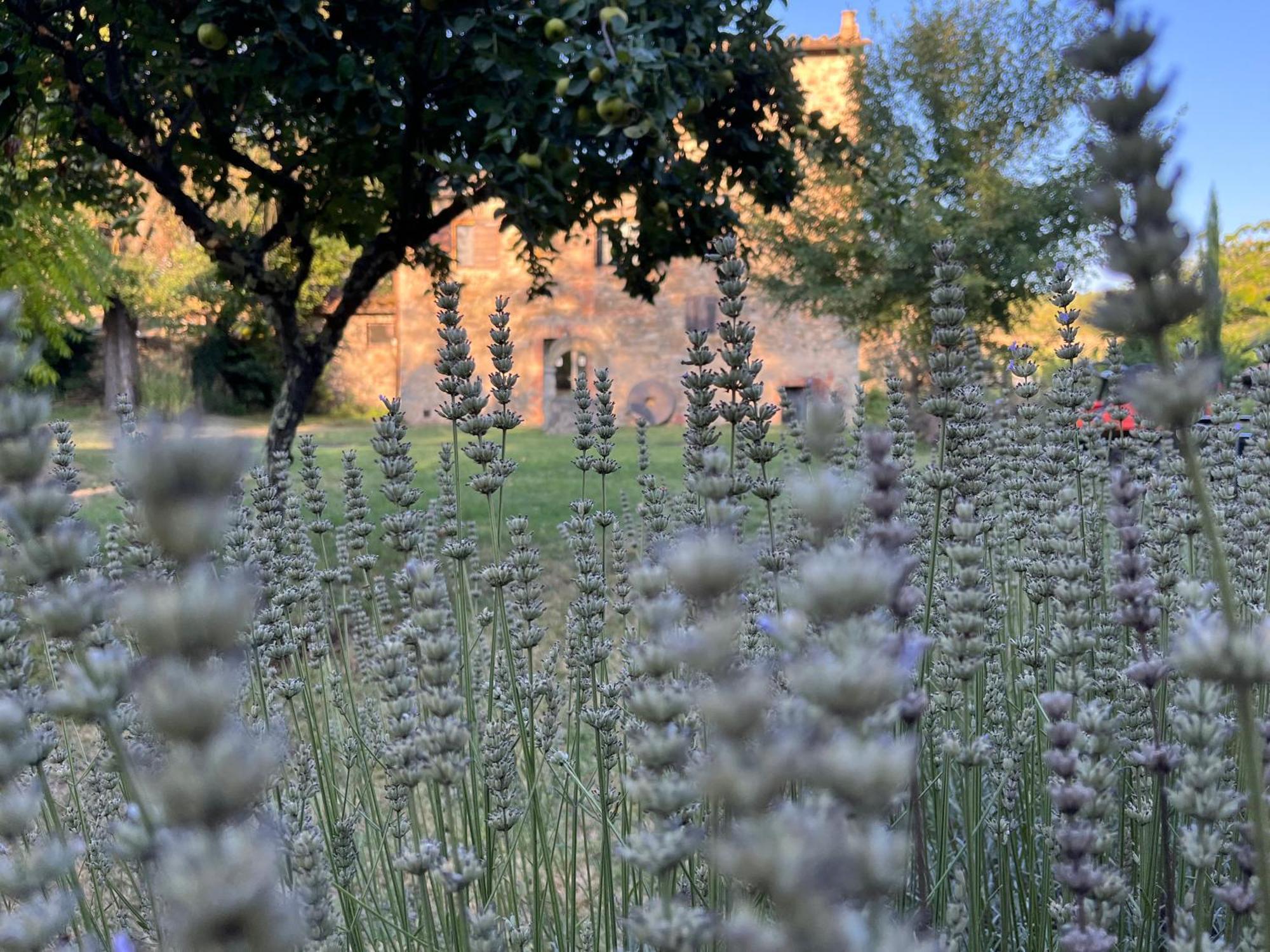 Mulino In Chianti Daire Gaiole in Chianti Dış mekan fotoğraf